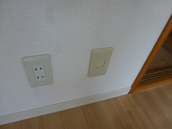その他設備(写真は別号室です。)