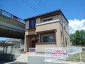 シン　アペックス