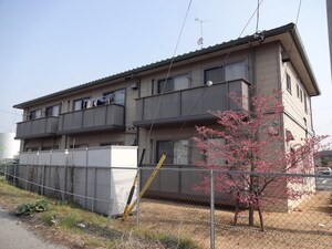 カーサ・マッローネB外観写真