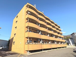 並柳ハイツ外観写真