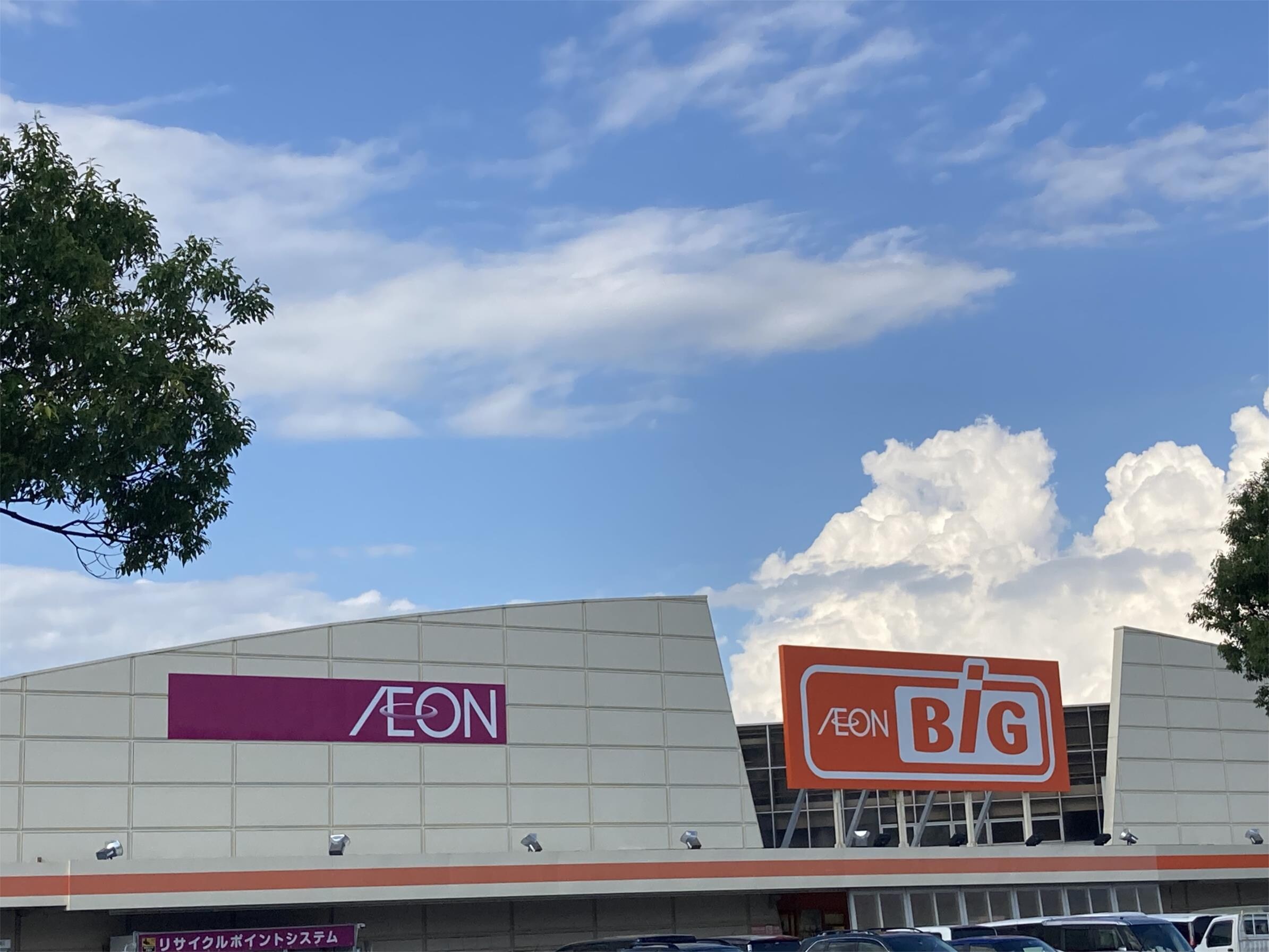 The Big（ｻﾞ･ﾋﾞｯｸﾞ） 山形店