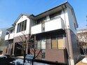 サニーヒル桔梗