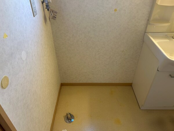 その他部屋・スペース(洗濯機設置スペース)