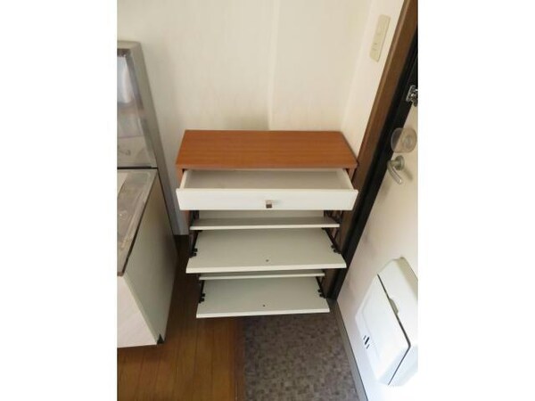 玄関回り(下駄箱)