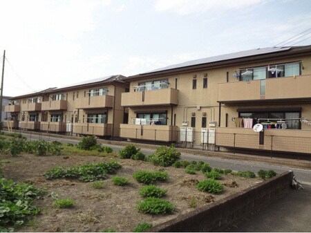シーダーハウスⅡ（八斗島町）外観写真