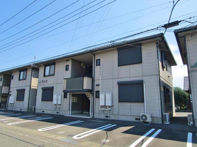 パルD