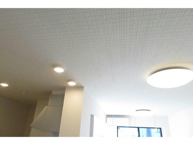 物件内観写真12　(リビング照明)