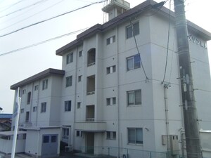 メゾン新美外観写真