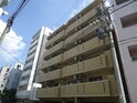 イエローシダ金山