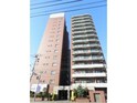 ドミ山鼻拾条