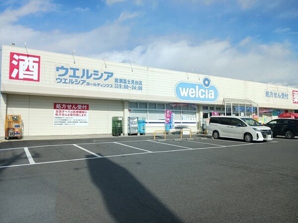 その他(ウエルシア岩瀬富士見台店まで350m)