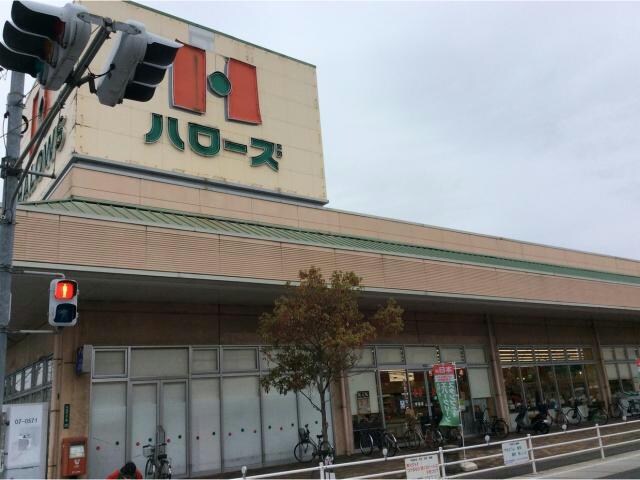 ハローズ手城店