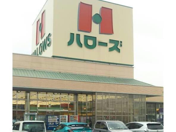 ハローズ新涯店