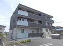 シュシュ
