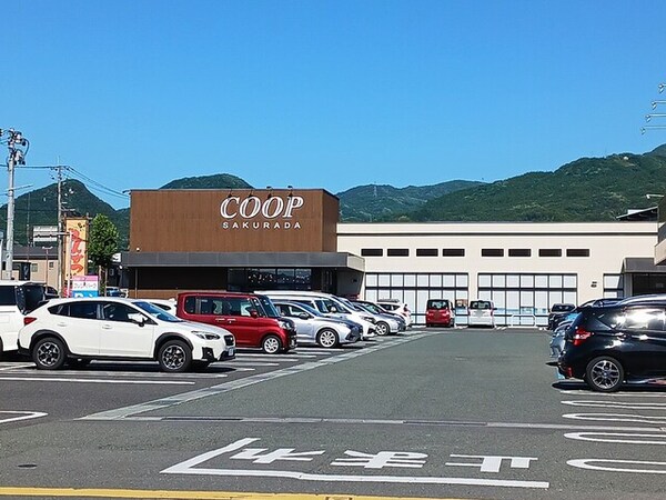 その他(その他)