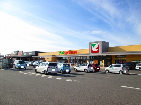 その他(その他)