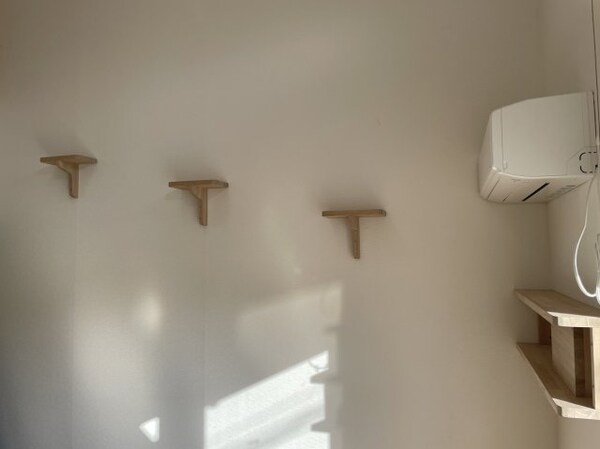 建物設備(キャットステップ（簡易棚）)