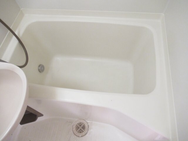 物件内観写真5　(お風呂で日々の疲れを落としましょう)