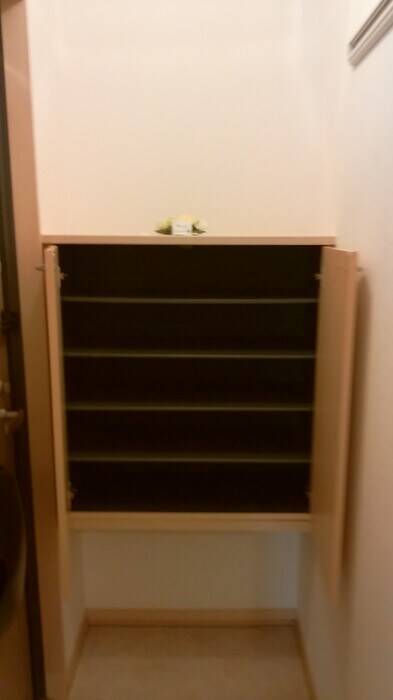 物件内観写真9　(シューズボックス)