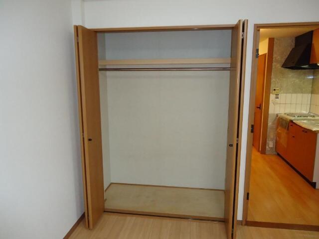 物件内観写真9　(上棚付の大きなクローゼット)