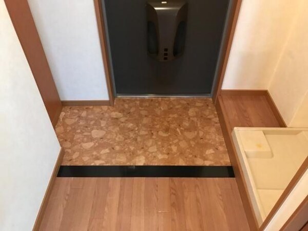 玄関周り(玄関)