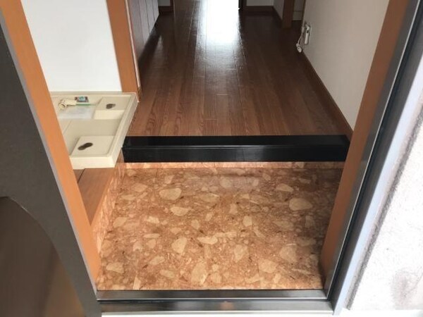 玄関周り(玄関)