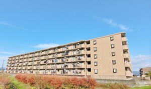 ロイヤルプラザいずみ野外観写真