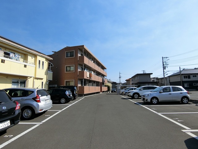 ボナール・ベルツリー