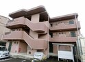 丘の上のマンション