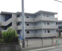 メゾフォルテ