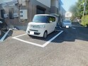 ディアスやまばと