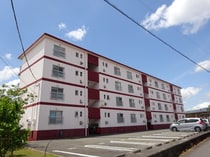 二反田ハイツの外観写真