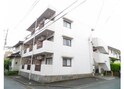 ベルツリー