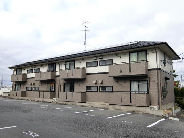 ハイカムール鷹清水