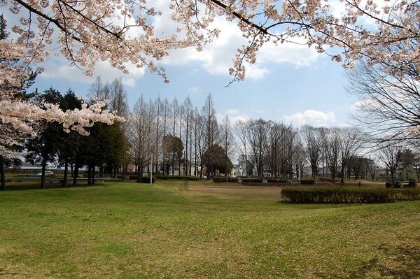 その他(高野台公園まで447ｍ)