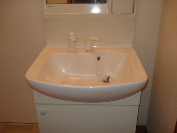 洗面所(洗髪洗面化粧台)