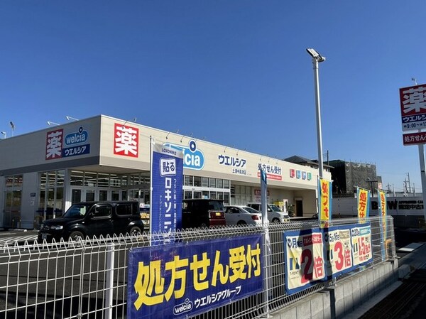 その他(ウエルシア土浦中高津店まで500m)