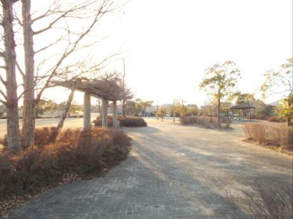 その他(樫の木公園まで600m)