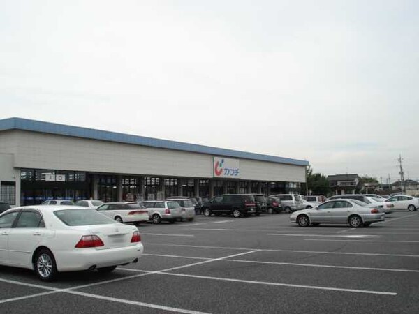 その他(カワチ薬品土浦南店まで1，366ｍ)