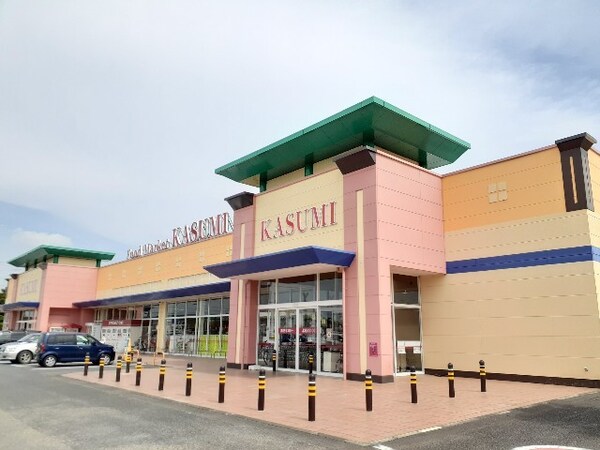 その他(カスミ 千代田店まで650m)