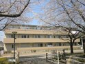 パークヒル櫻山II