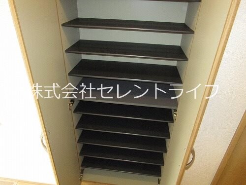物件内観写真19　(シューズボックス内部)