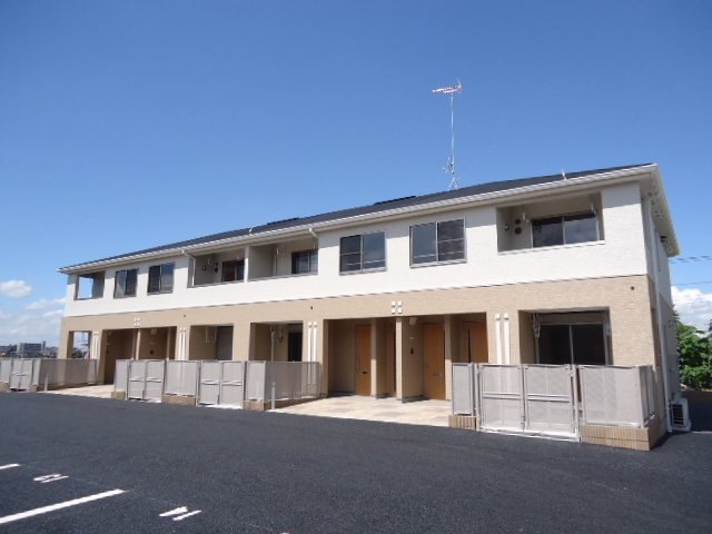 コモド　ピノII