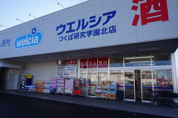 その他(ウエルシアつくば研究学園北店まで300m)