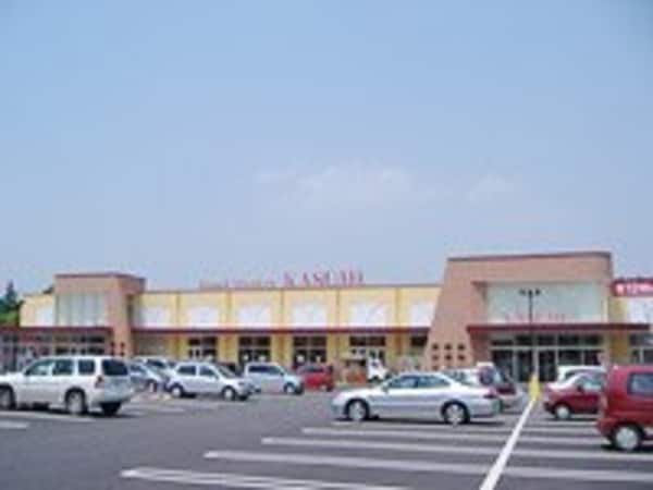 その他(カスミ並木店まで1，743ｍ)