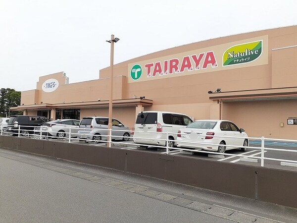 その他(TAIRAYAファインズ淵頭店まで550m)