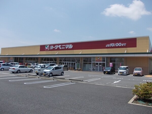 その他(ヨークベニマル谷田部店まで3700m)