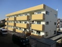 Lucky　flat