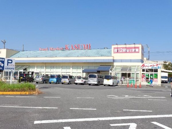 その他(カスミ高津店まで555ｍ)