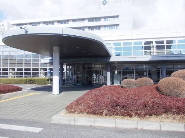 その他(牛久愛和総合病院まで1100m)